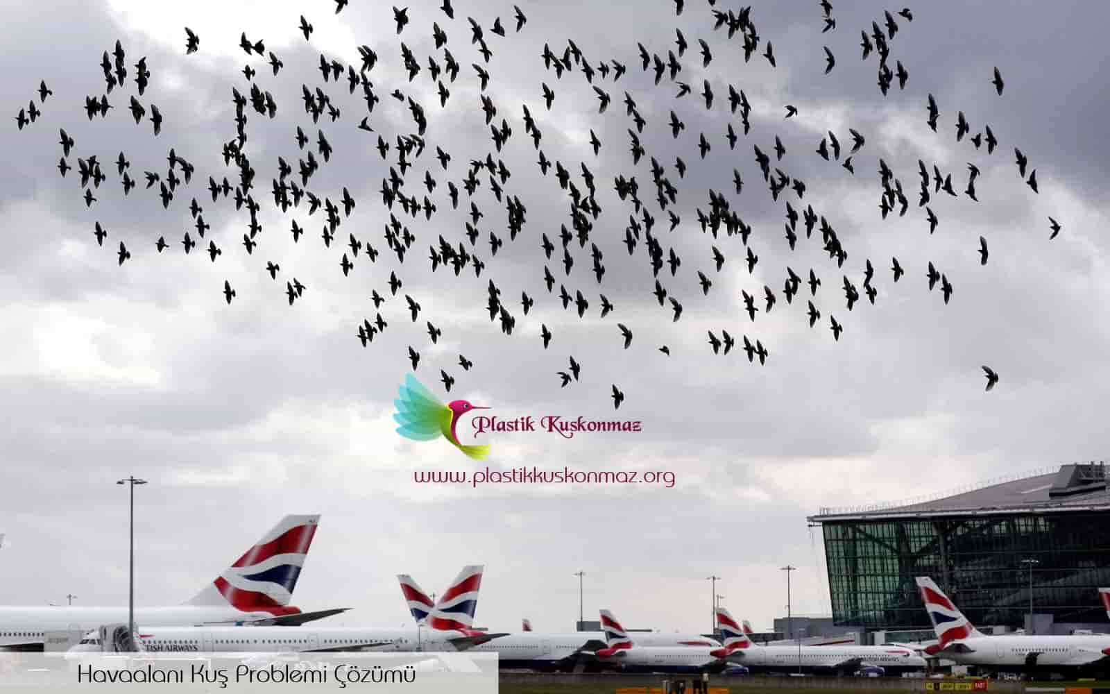 Havaalanı Kuşlarla Mücadele Sistemleri 